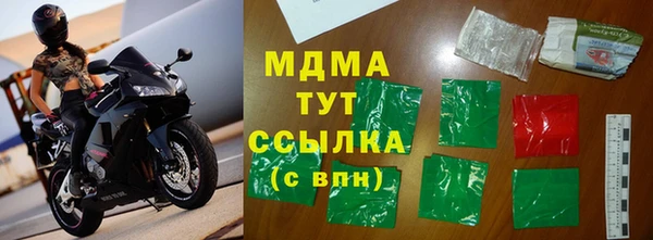 шишки Бородино