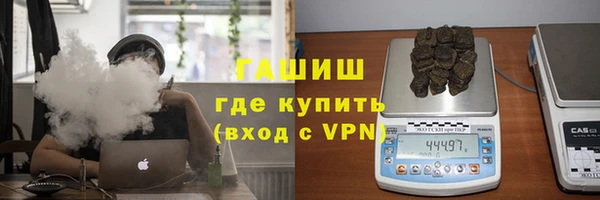шишки Бородино