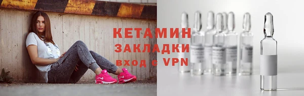 шишки Бородино