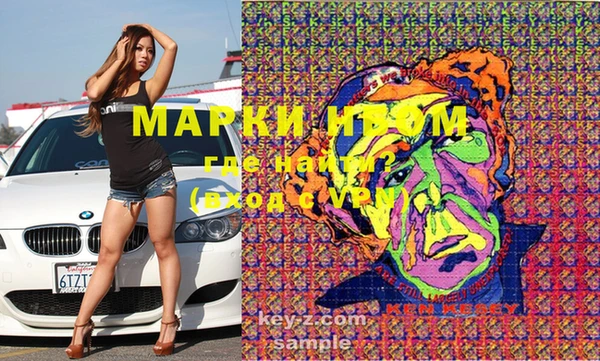 шишки Бородино