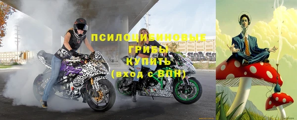 шишки Бородино