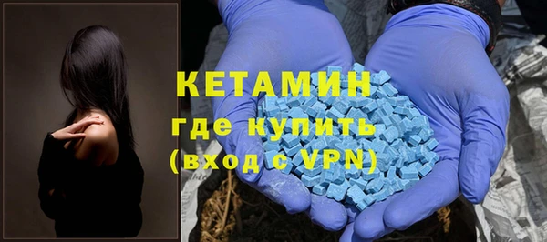 шишки Бородино