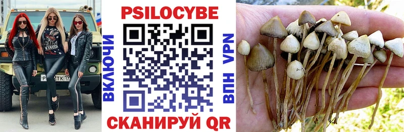 Галлюциногенные грибы ЛСД купить наркоту ОМГ ОМГ ТОР Высоцк